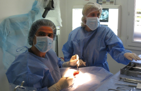 Dentiste à Sanary-sur-Mer